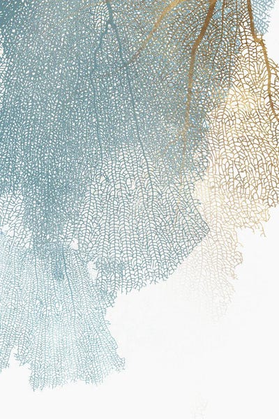 PI Studio: Delicate Branches Against White Canvas I by PI Studio