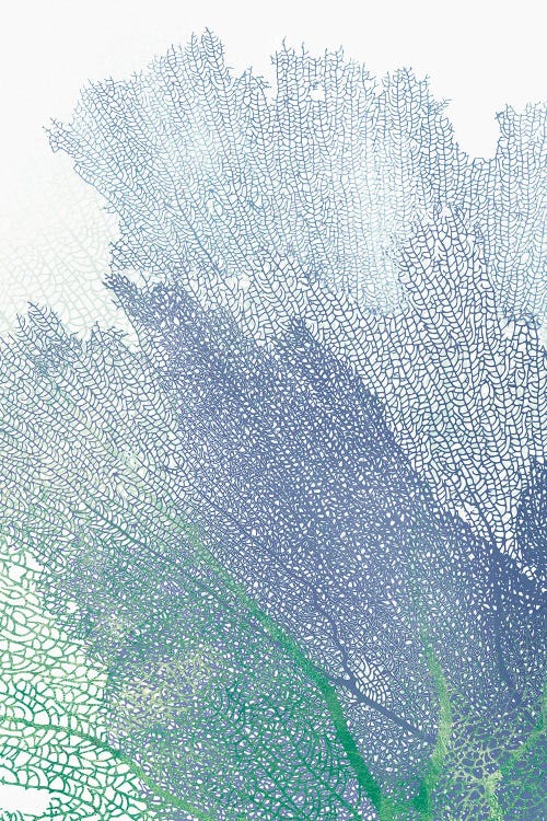 Nature's Intricate Veil II