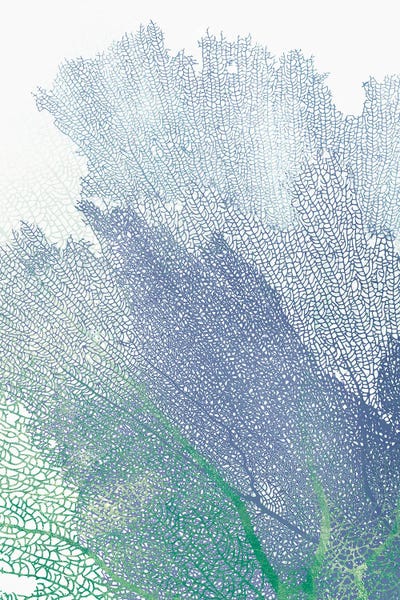 Nature's Intricate Veil II