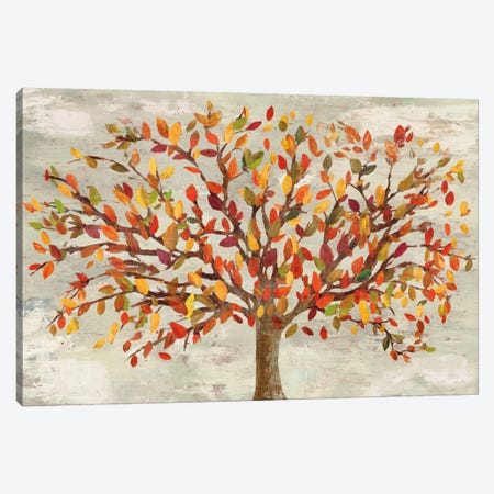 Fall Foliage Canvas Print #PST245} by PI Studio Art Print