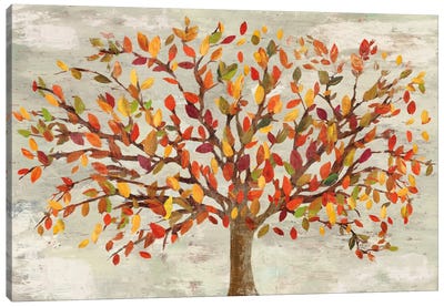 Fall Foliage Canvas Art Print
