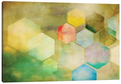 Honeycomb I Canvas Art Print - Shape Up
