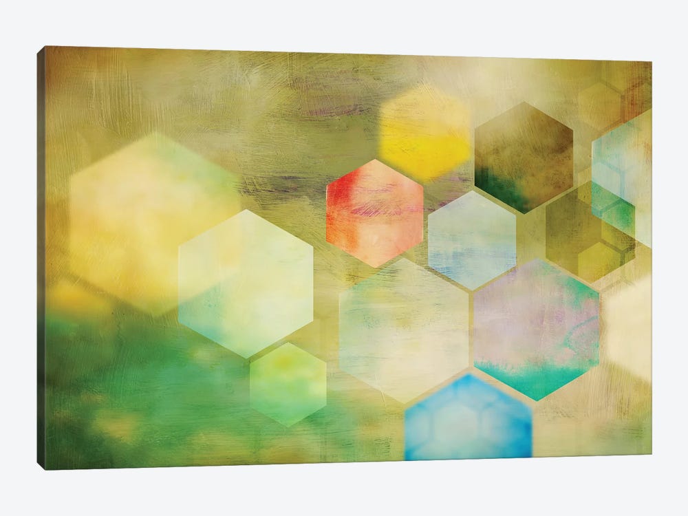 Honeycomb I by PI Studio 1-piece Canvas Artwork