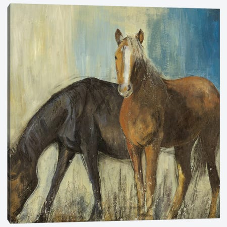 Horses II Canvas Print #PST340} by PI Studio Canvas Print