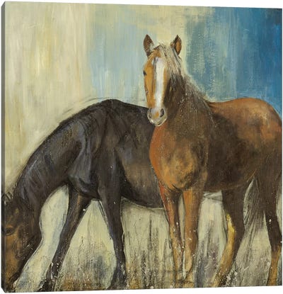 Horses II Canvas Art Print - PI Studio