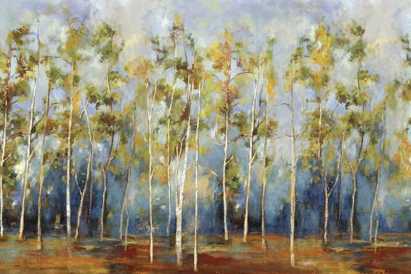 PI Studio: Indigo Forest by PI Studio