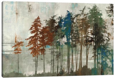 Aspen Canvas Art Print - Tree Art
