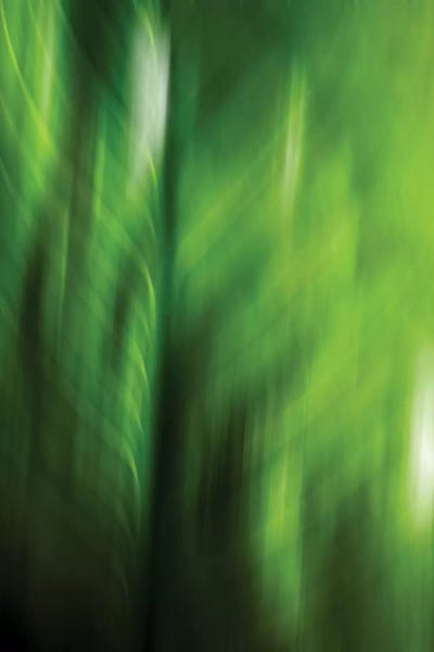 Grasses: Organic V by PI Studio