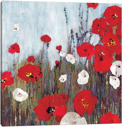 Passion Poppies II Canvas Art Print - Red Passion