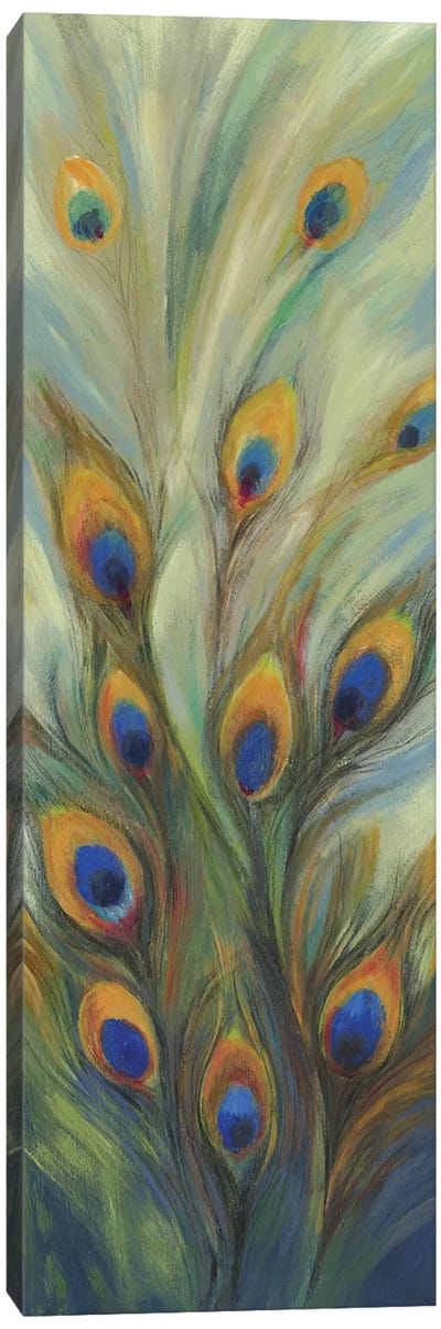 Peacock Tale Canvas Art Print - PI Studio