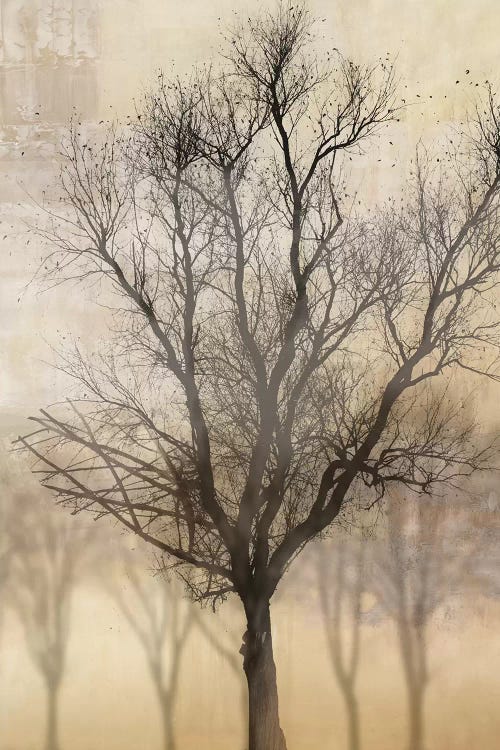 Solitaire by PI Studio wall art