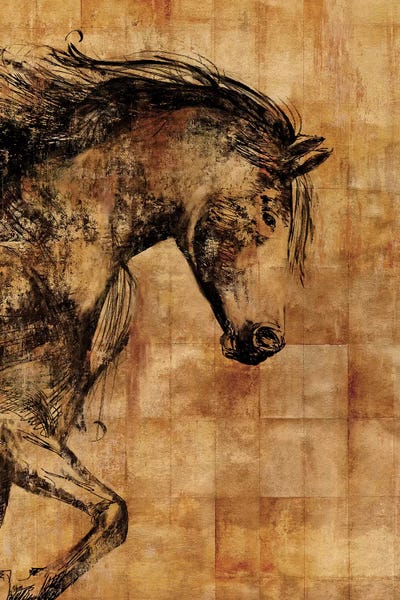 PI Studio: Stallion II by PI Studio