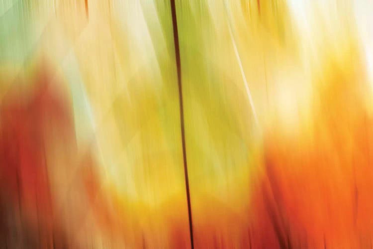 Tie Dye I by PI Studio wall art