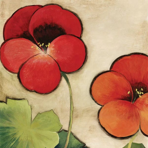 PI Studio: Tropical Brights by PI Studio