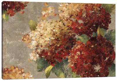 Vintage Hydrangea Canvas Art Print - Best Selling Floral Art