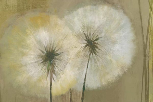 Dandelions: Whisper I by PI Studio