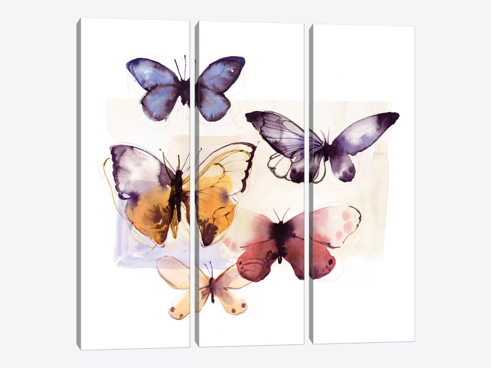 Butterfly Fly Away III  by PI Studio 3-piece Art Print