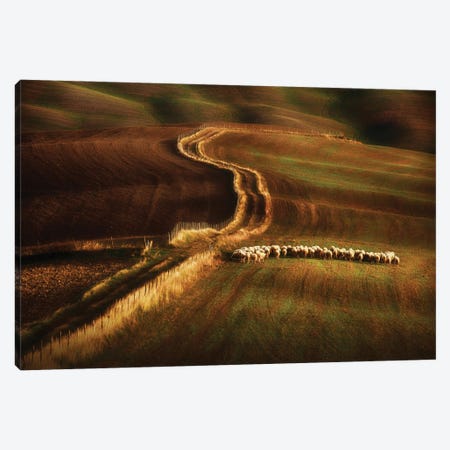 Crossing The Fields Canvas Print #PSV9} by Peter Svoboda Canvas Wall Art
