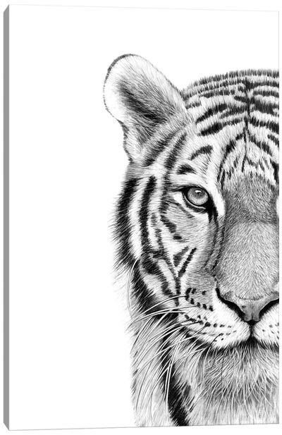 Tiger Canvas Art Print - Paul Stowe