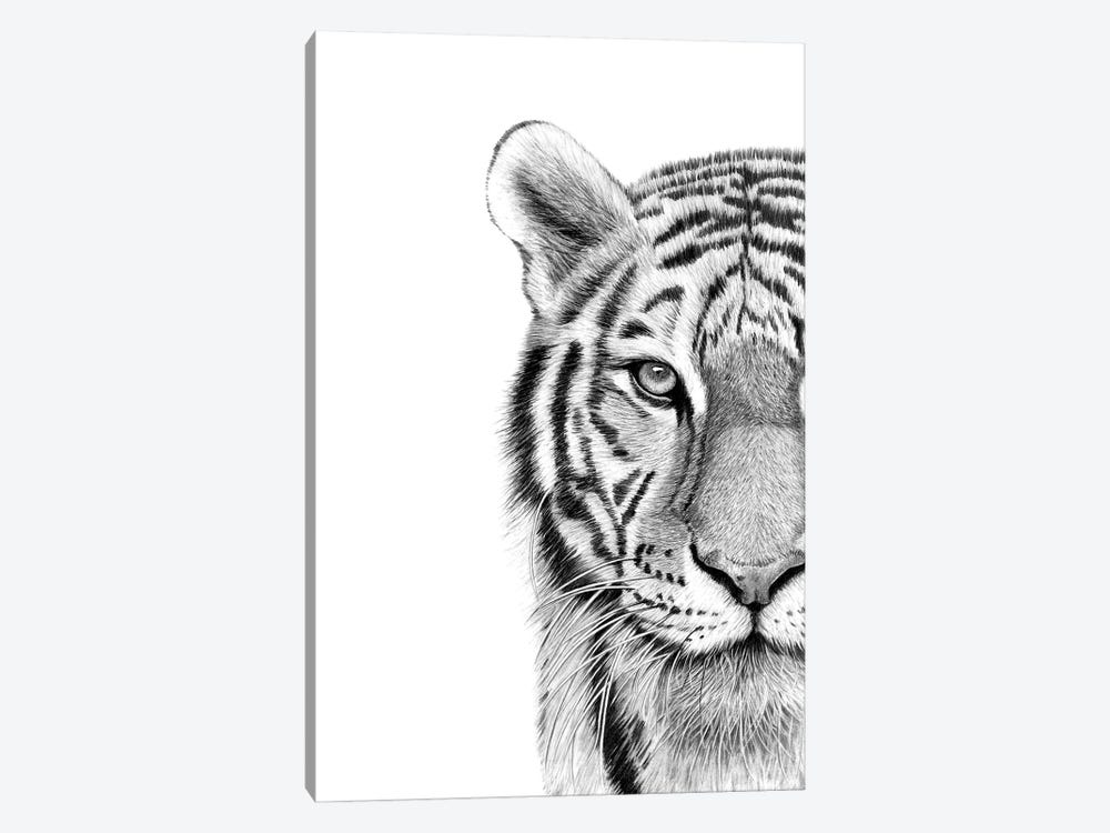 Tiger by Paul Stowe 1-piece Canvas Art Print