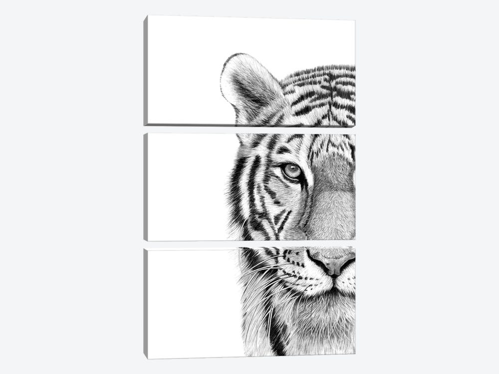 Tiger by Paul Stowe 3-piece Canvas Print