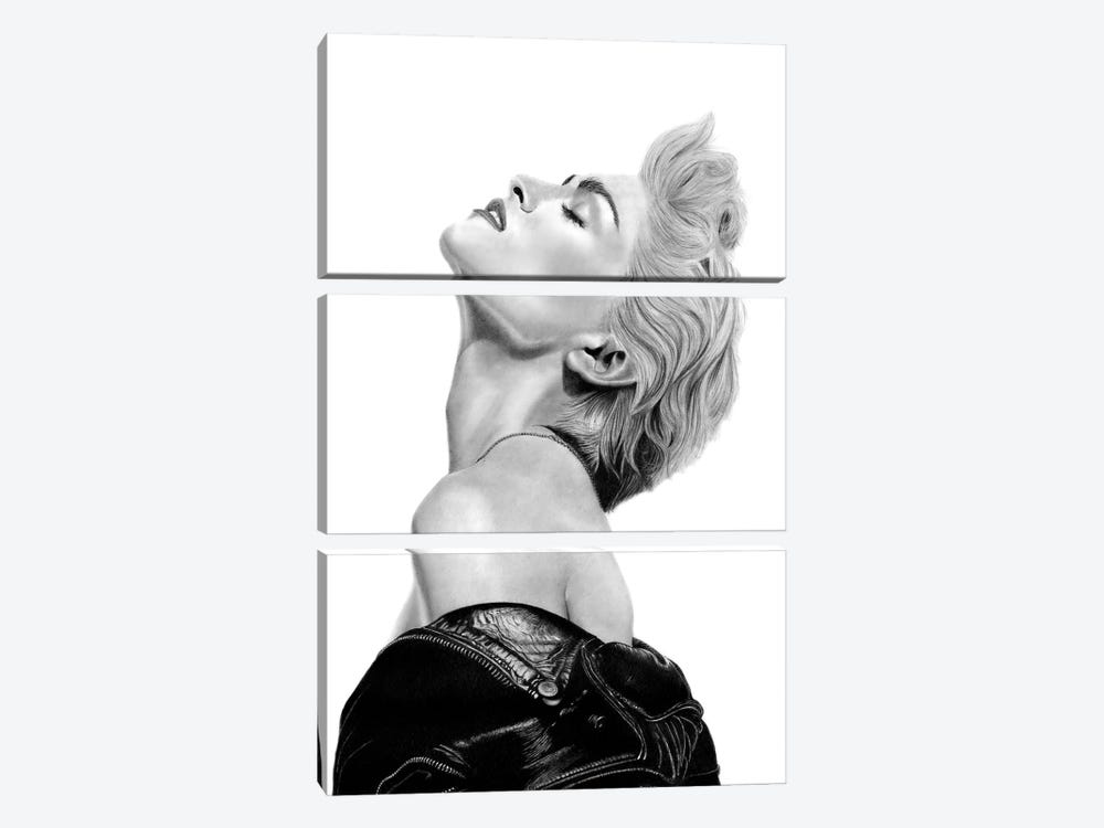 Madonna by Paul Stowe 3-piece Canvas Wall Art