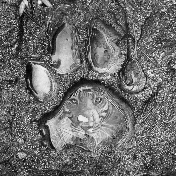 Emotive Animals: The Hunt by Paul Stowe