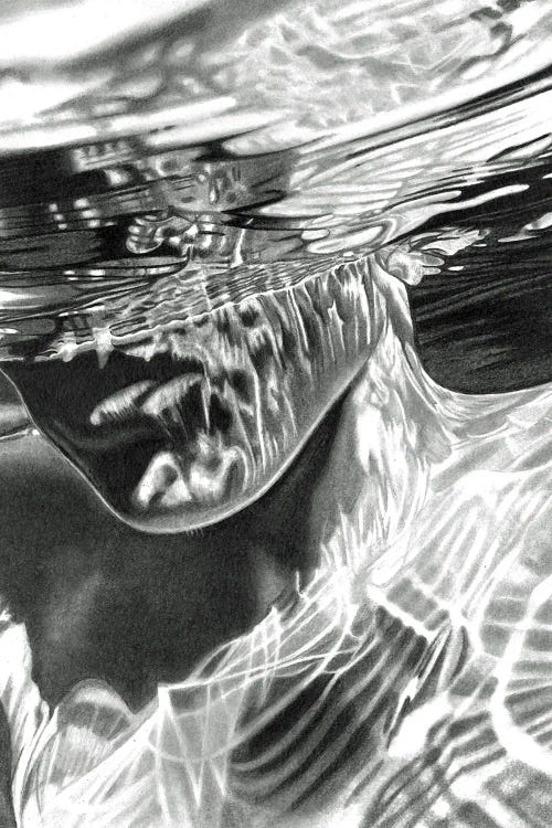 Submerged II by Paul Stowe wall art