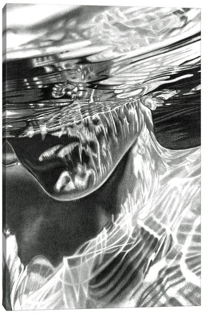 Submerged II Canvas Art Print - Paul Stowe