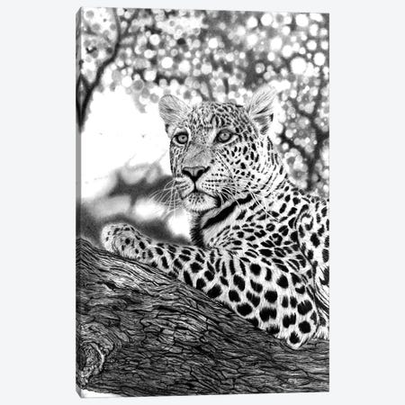 Tree Leopard Canvas Print #PSW125} by Paul Stowe Canvas Art