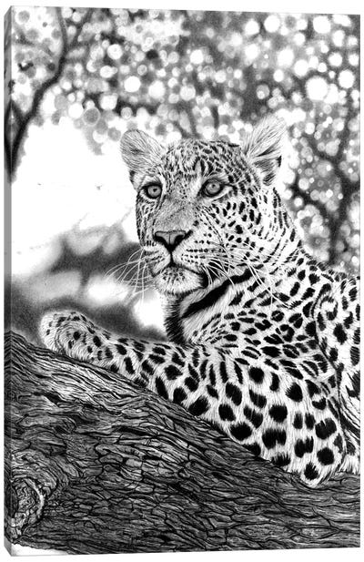 Tree Leopard Canvas Art Print - Leopard Art