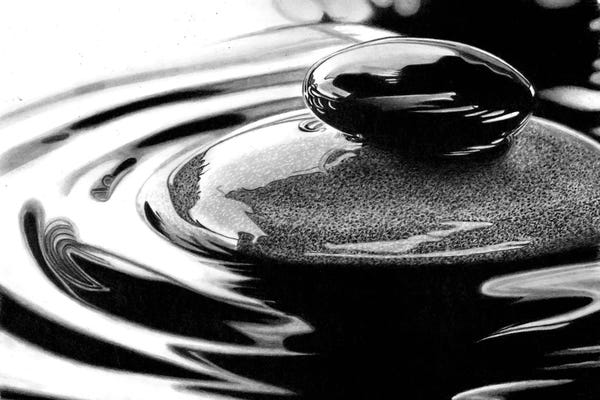 Nature Lover: Wet Pebbles 2025 by Paul Stowe