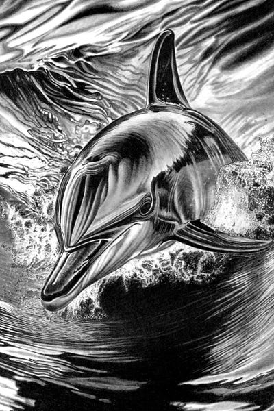 Dolphin