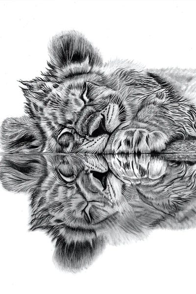 Lion Cup Reflections