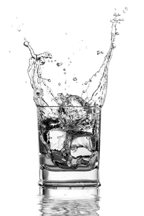 Double Whisky by Paul Stowe canvas print