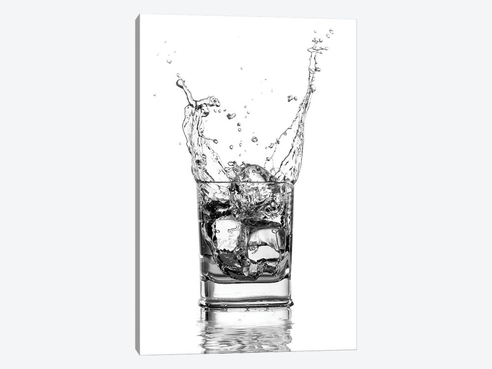 Double Whisky by Paul Stowe 1-piece Canvas Wall Art