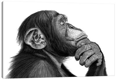 Contemplation Canvas Art Print - Hyper-Realistic & Detailed Drawings
