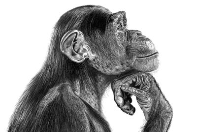 The Thinker by Paul Stowe canvas print