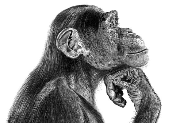 The Thinker: The Thinker by Paul Stowe