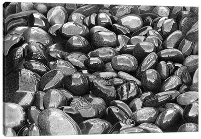 Wet Pebbles VI Canvas Art Print - Paul Stowe