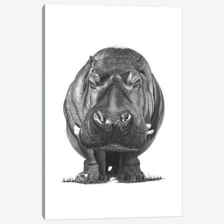 Hippo Canvas Print #PSW3} by Paul Stowe Canvas Art Print