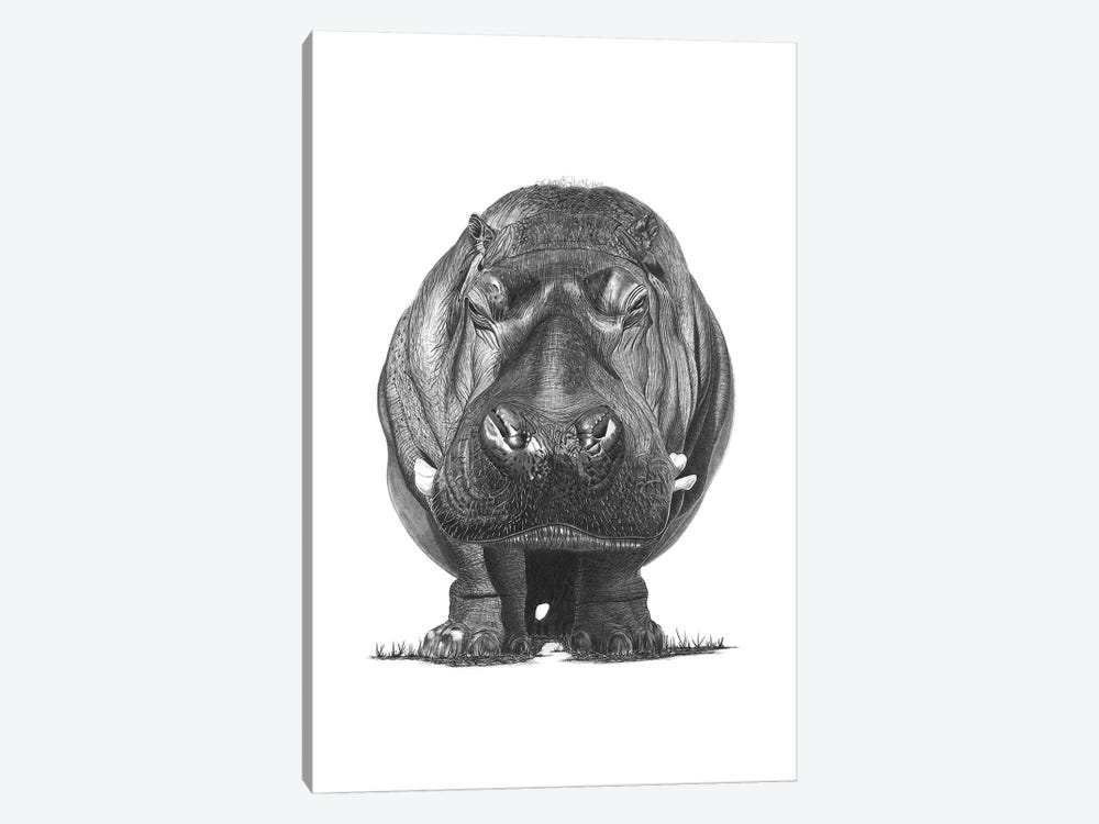 Hippo by Paul Stowe 1-piece Canvas Wall Art