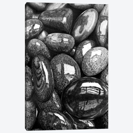 Wet Pebbles I Canvas Print #PSW40} by Paul Stowe Art Print