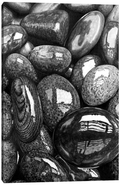 Wet Pebbles I Canvas Art Print - Paul Stowe