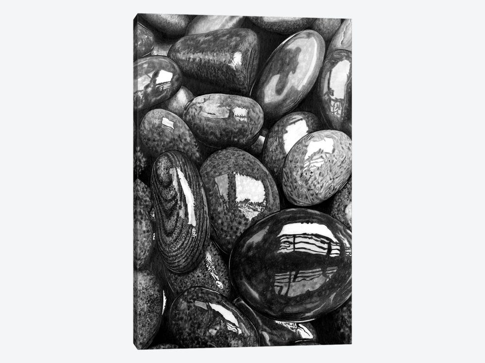 Wet Pebbles I by Paul Stowe 1-piece Canvas Art