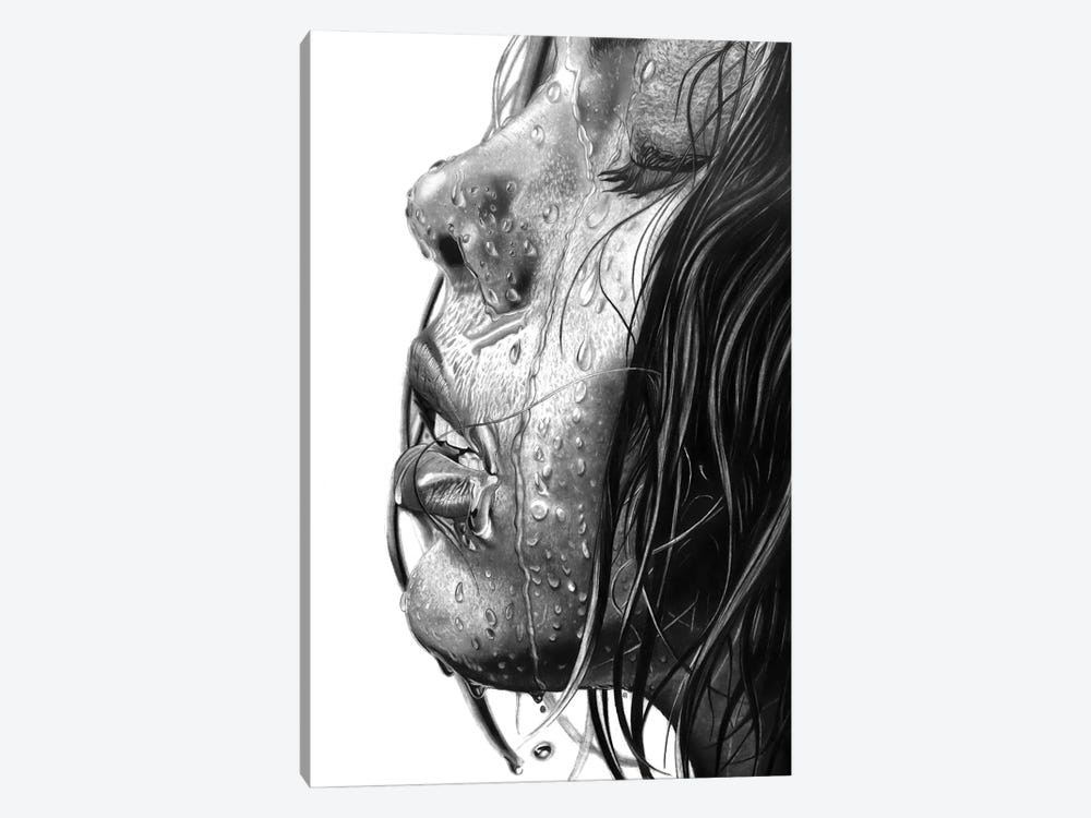 Wet by Paul Stowe 1-piece Canvas Artwork