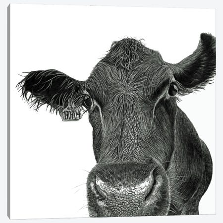 Moo Cow Canvas Print #PSW63} by Paul Stowe Art Print