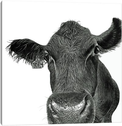 Moo Cow Canvas Art Print - Paul Stowe