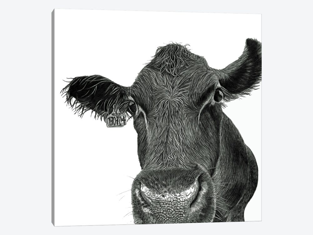 Moo Cow by Paul Stowe 1-piece Canvas Print