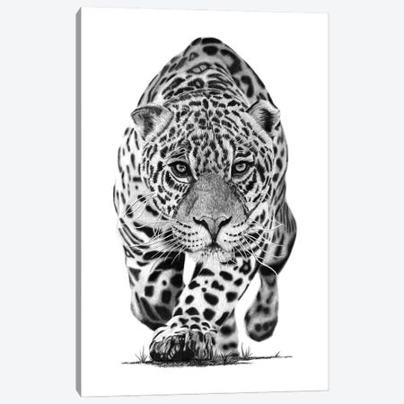 Jaguar Canvas Print #PSW64} by Paul Stowe Canvas Artwork